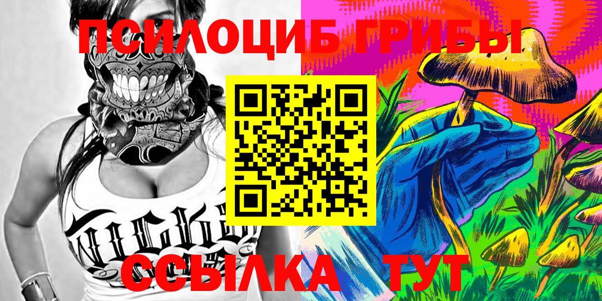 Александров  Галлюциногенные грибы Cubensis  Вход с VPN 